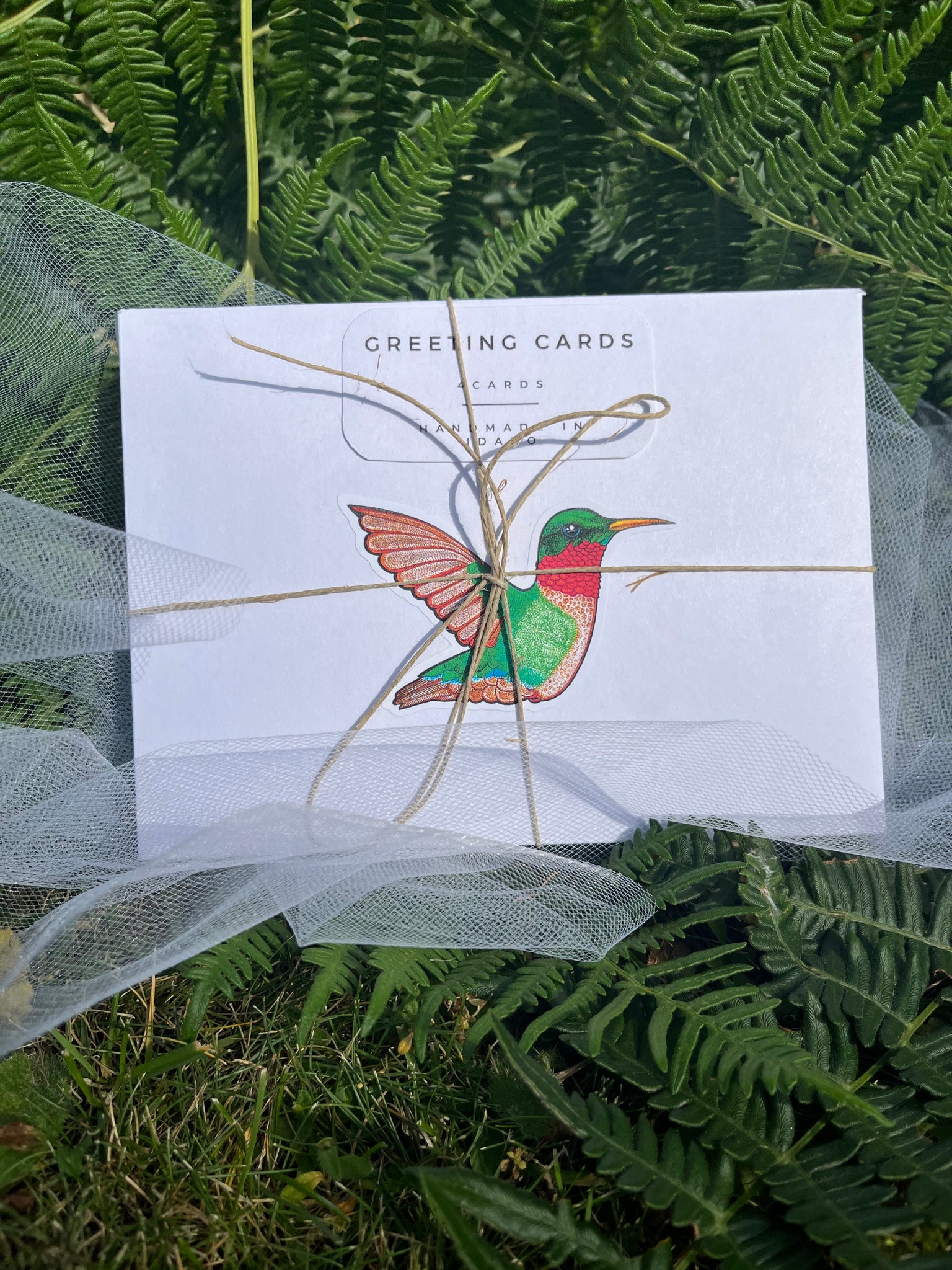 Ruby Throated Hummingbird Greeting Cards (4)