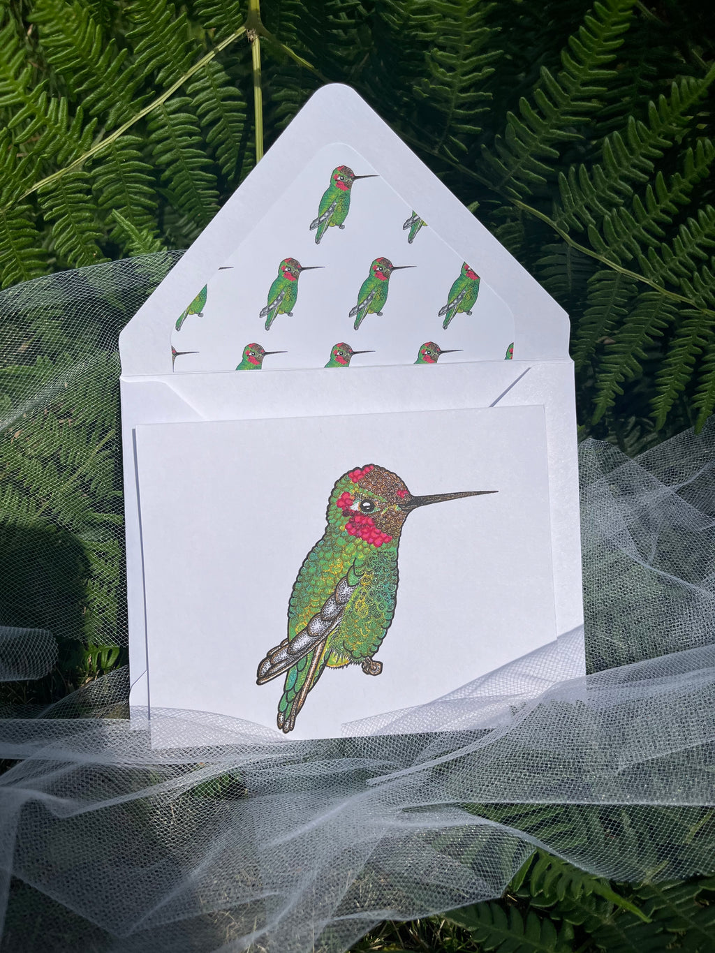 Anna’s Hummingbird Greeting Cards (4)