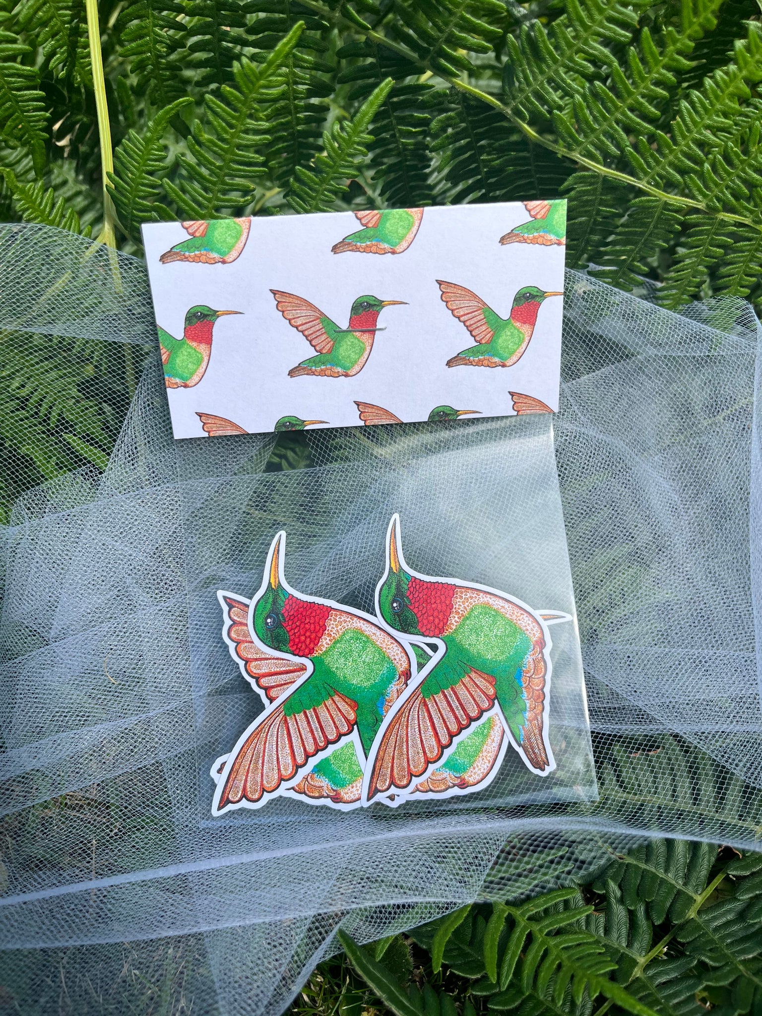 Ruby Throated Hummingbird Greeting Cards (4)